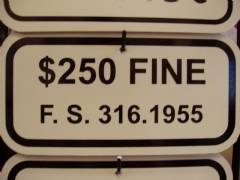 Seminole County Fine Sign 316.1955